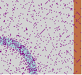 Thumbnail for version as of 15:11, 28 January 2008