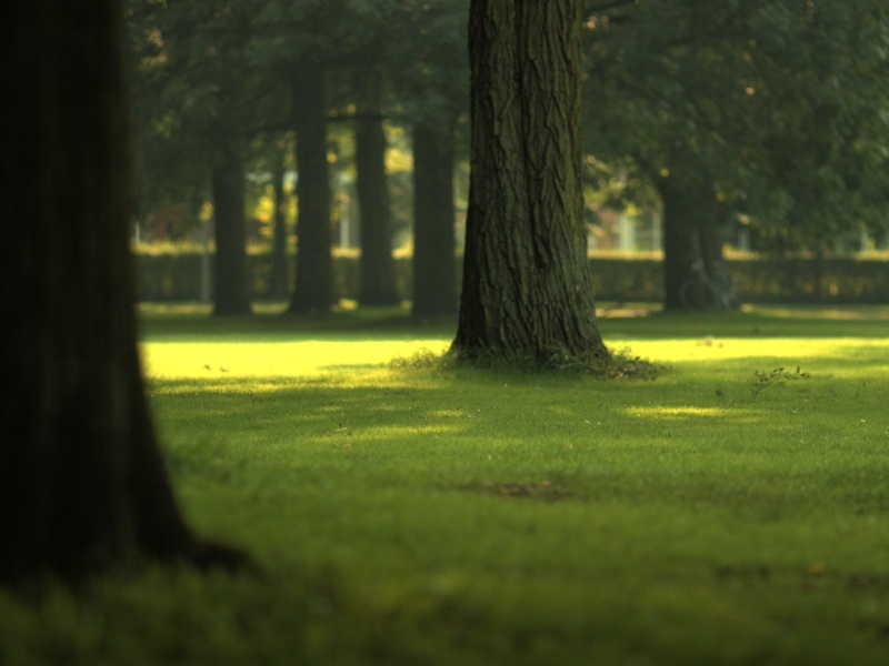 File:Soft-green.jpg