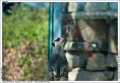 Thumbnail for version as of 15:54, 11 October 2011